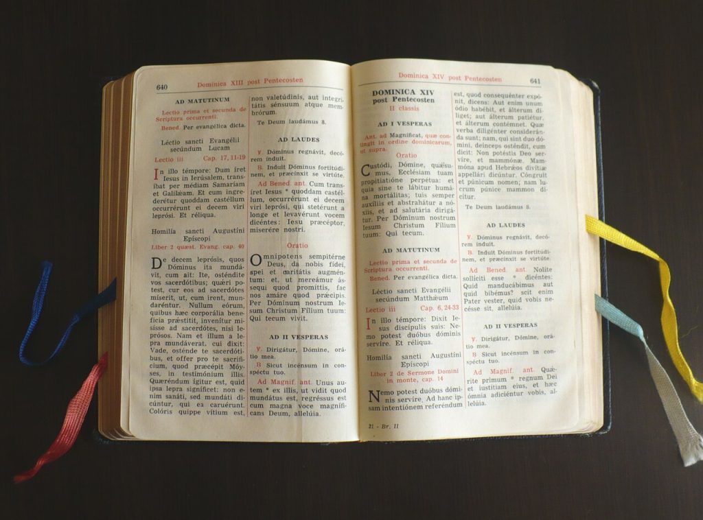 Inside Introíbo: the free Latin Mass app turning phones into missals