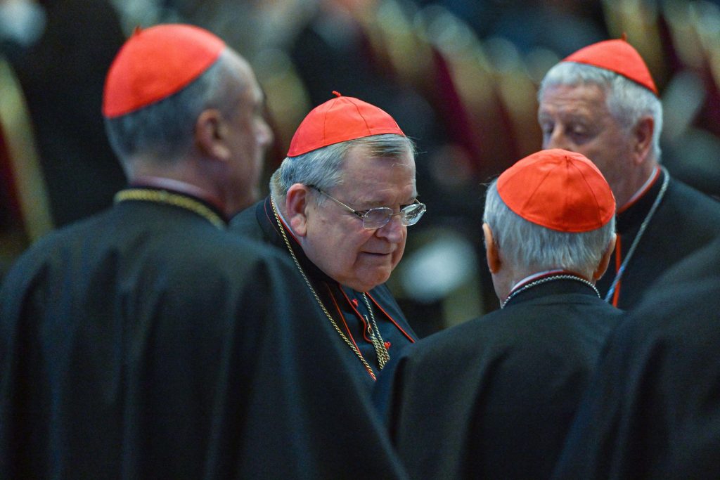 “The process has to be stopped” Cardinal Burke on synodality