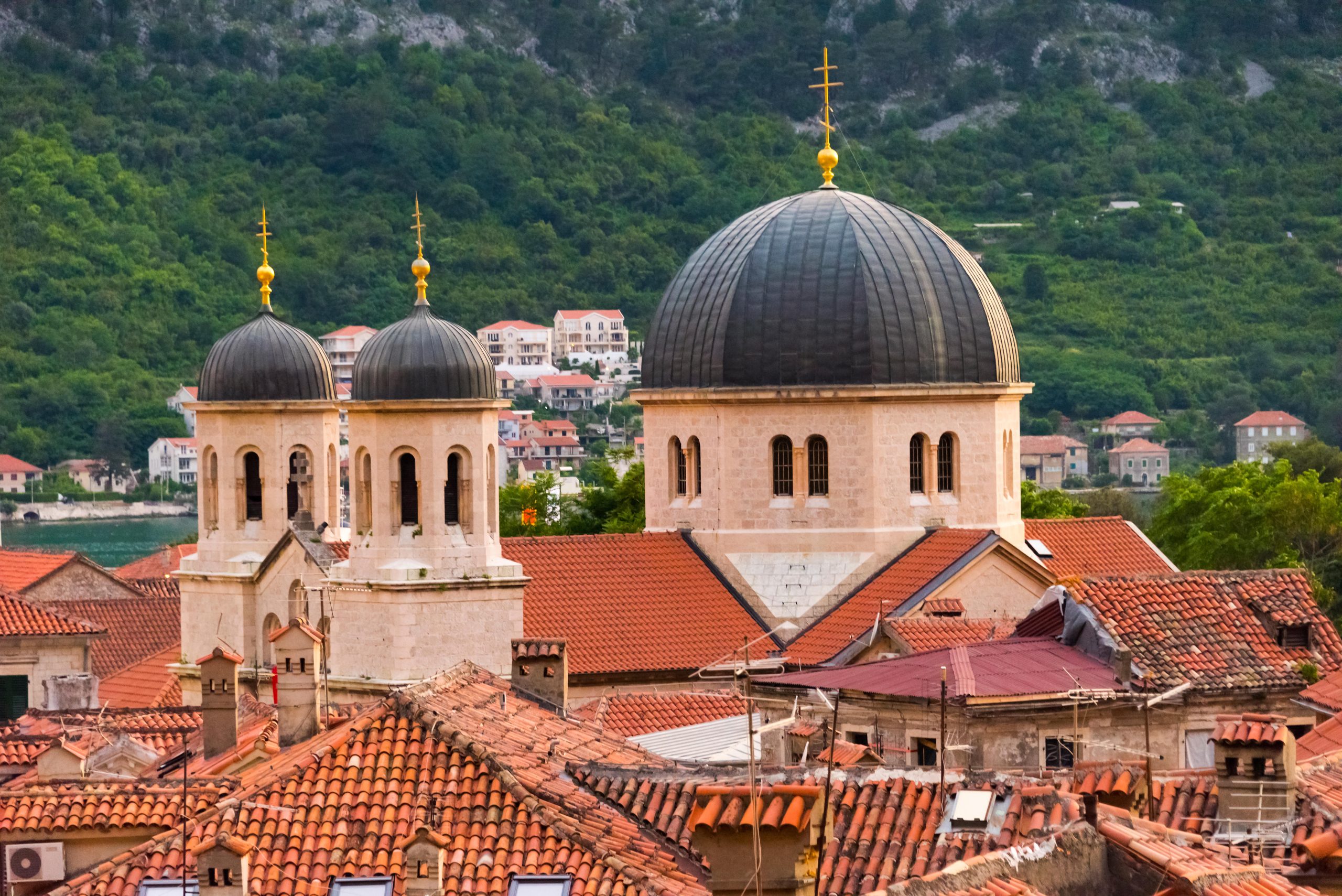 Cardinal Nemet says Catholic-Orthodox relations have entered a new phase